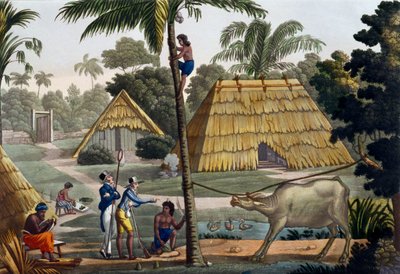 Naturalists Question Natives Near Kupang, Timor, Plate 7 from 